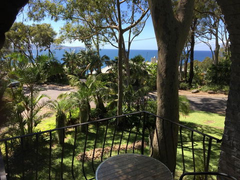 Palm Beach Bed & Breakfast - Accommodation Daintree 3