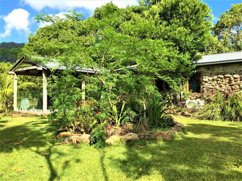 Palm Grove Rainforest Retreat - Accommodation Daintree 2