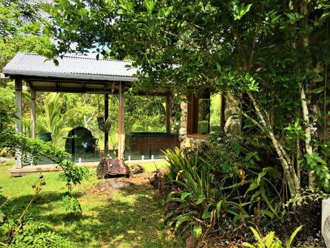 Palm Grove Rainforest Retreat - Accommodation Daintree 3