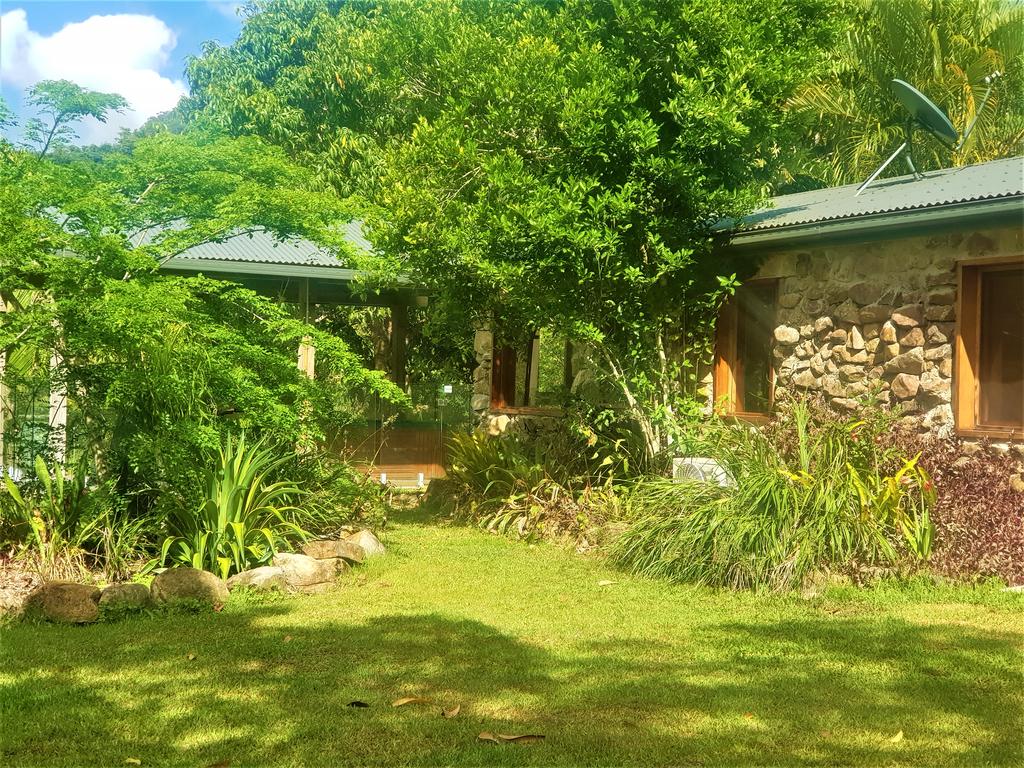Palm Grove QLD Accommodation Daintree
