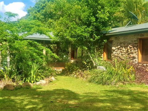 Palm Grove Rainforest Retreat - Accommodation Daintree 0