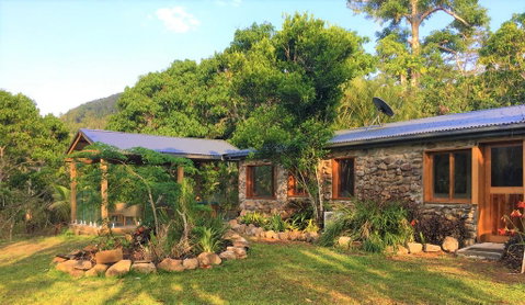 Palm Grove Rainforest Retreat - Accommodation Daintree 1