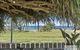 Pandanus On Emerald - thumb 0