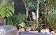 Paradise Apartment - thumb 3