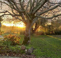 Peg Cottage - Accommodation Daintree