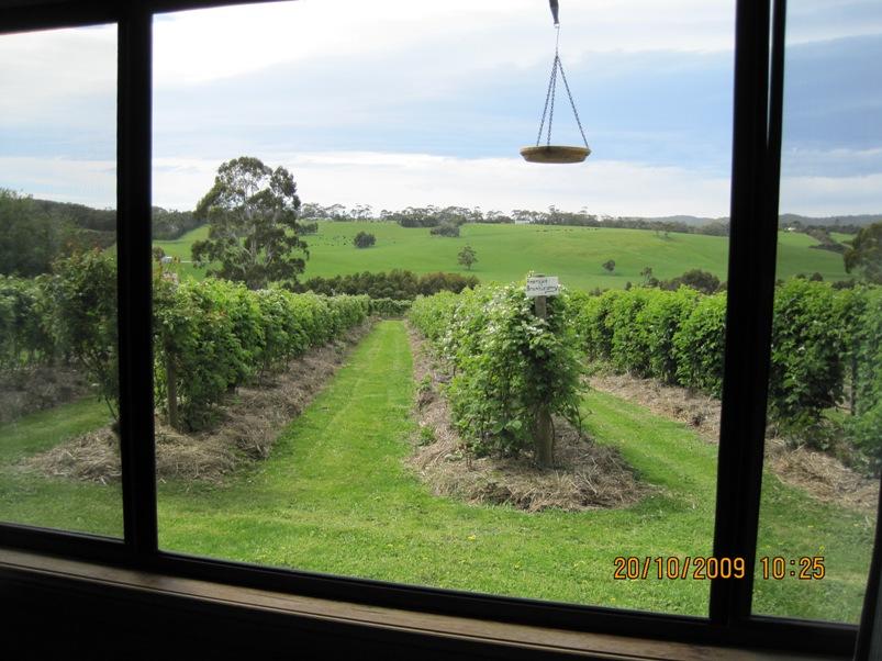 Barwon Downs ACT Accommodation Daintree
