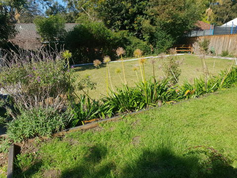 Poppies House - Accommodation Daintree 1