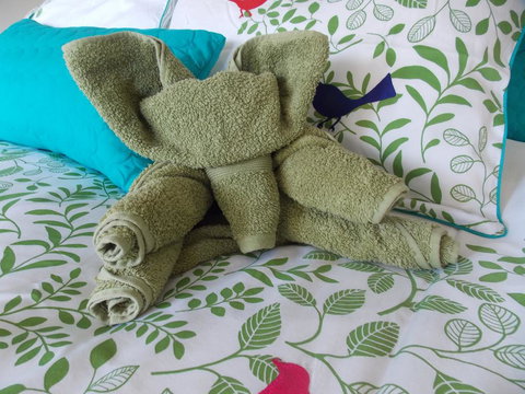 Port McCrae B&B - Accommodation Daintree 2