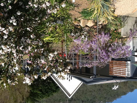 Post Master's Residence - Accommodation Daintree 1