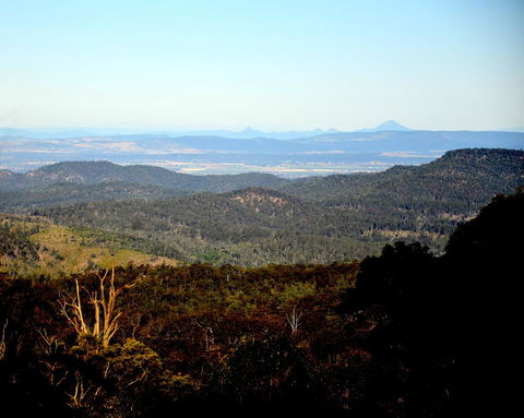 Ravensbourne Escape- Stella Luna - Accommodation Daintree 1