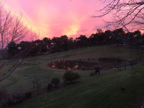 Raynella Alpaca Farmstay - Accommodation Daintree 1