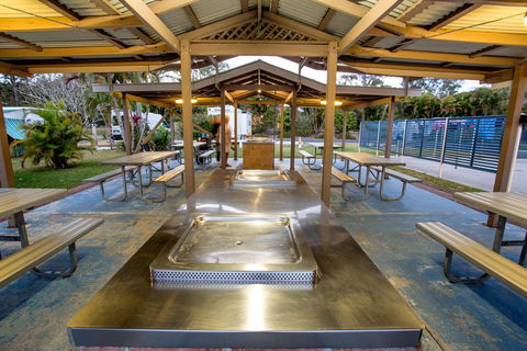 Reflections Holiday Parks Ferry Reserve - Accommodation Daintree 1