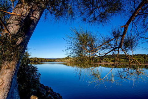 Reflections Holiday Parks Ferry Reserve - Accommodation Daintree 3