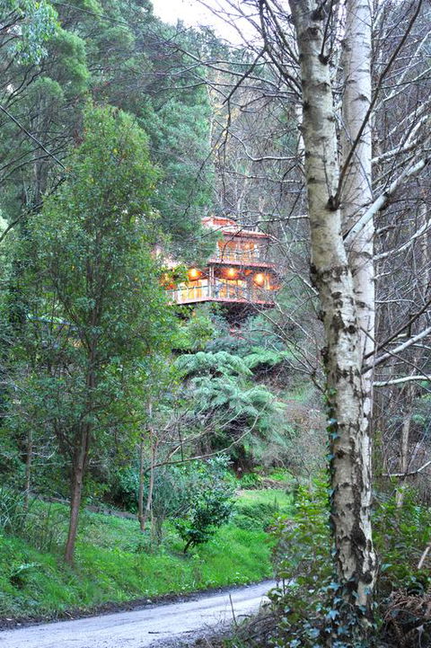 Risehill House - Accommodation Daintree 3