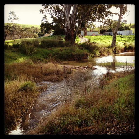 River Cottage Barossa -Self Contained-30 Acres-360 Degree Views-Netflix -Wine-Wifi - Accommodation Daintree 3