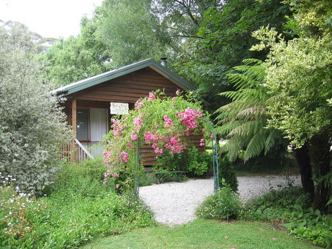 RiverCottage-selfcontained - Accommodation Daintree 0