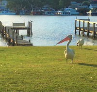 Riverfront Getaway - Mannum - Accommodation Daintree