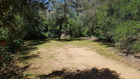 Riverview Caravan Park - Accommodation Daintree 3