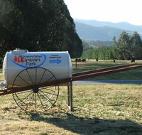 Riverview Caravan Park - Accommodation Daintree