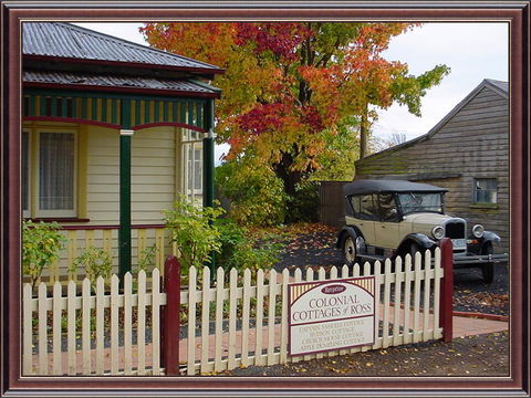 Ross B&B Accommodation - Accommodation Daintree 2