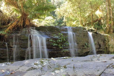 Salisbury Lodges - Accommodation Daintree 1