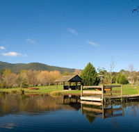 Sanctuary Park Cottages - Accommodation Daintree