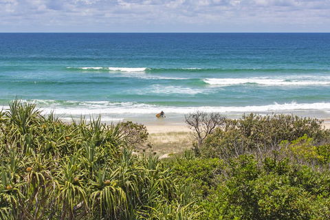 Sandpiper Beach Front House - Accommodation Daintree 3