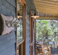 Scribbly Gum - Accommodation Daintree