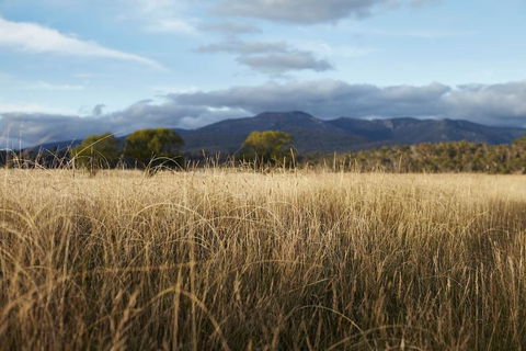 Second Flat Retreat - Accommodation Daintree 2