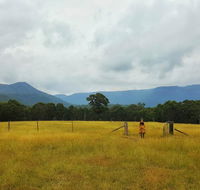 Secret Valley Escape - Accommodation Daintree