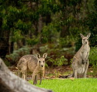 Secura Lifestyle Countryside Kalaru - Accommodation Daintree