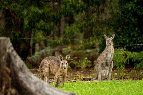 Secura Lifestyle Countryside Kalaru - Accommodation Daintree 0