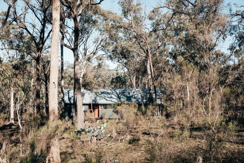 Shack 14 - Accommodation Daintree 3