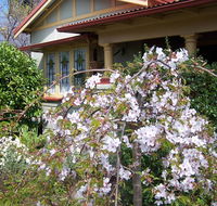 Shelton-Lea Bed  Breakfast - Accommodation Daintree