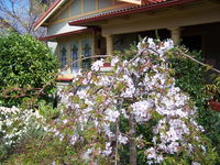 Shelton-Lea Bed  Breakfast