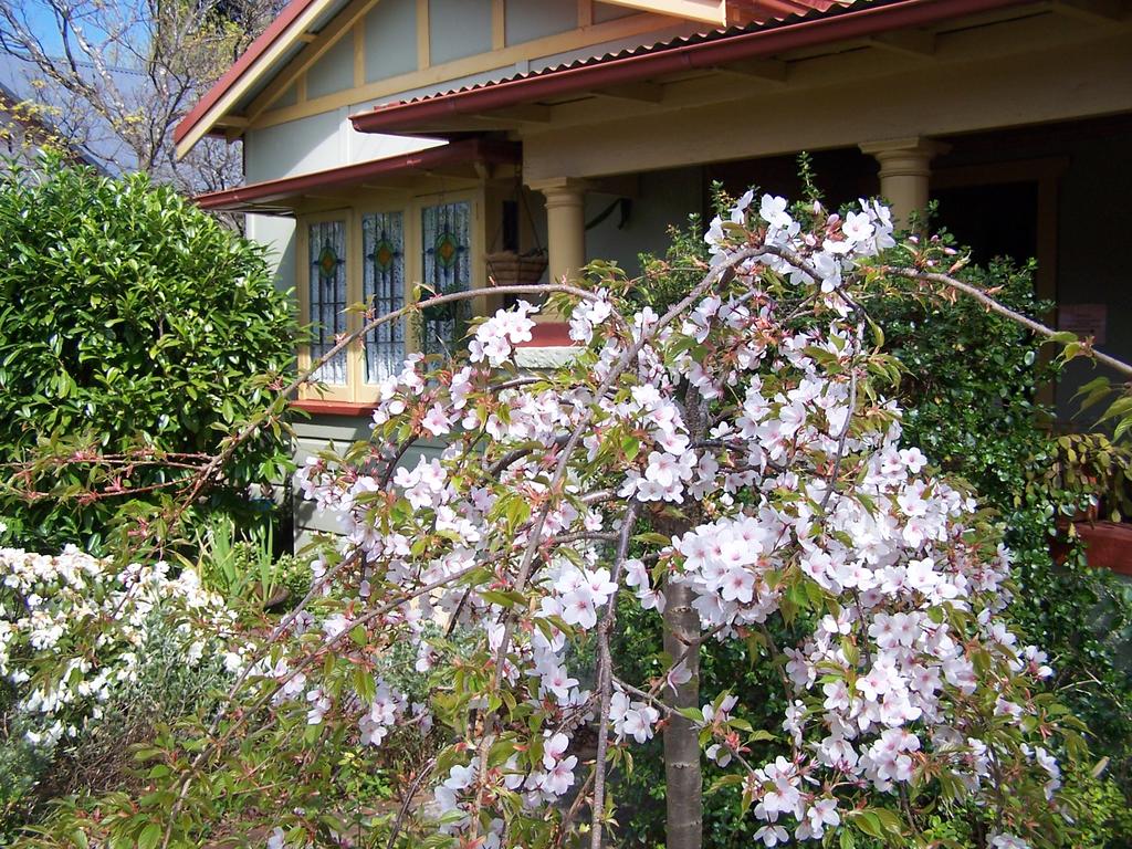 Katoomba NSW Accommodation Daintree