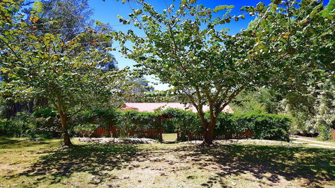 Shiralee's Rest Of Katoomba - Accommodation Daintree 0