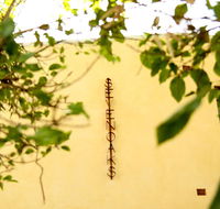 Siggy's Perth Accommodation - Accommodation Daintree