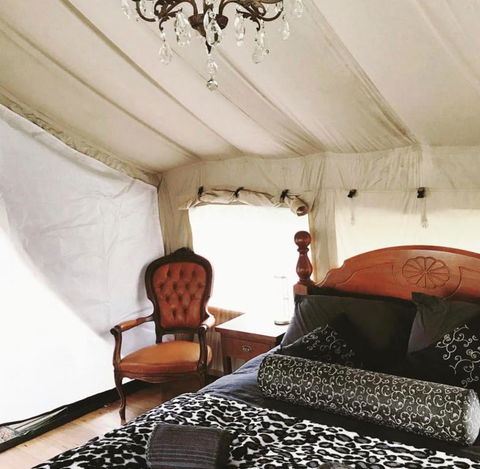 Silk Pavilions Glamping - Accommodation Daintree 1