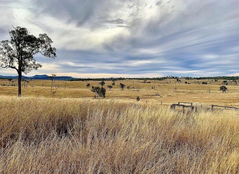 Skyline Farm House - Accommodation Daintree 3