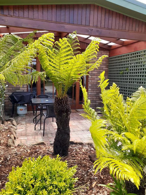 Sleepy Hollow Hideout (Hidout 2) - Accommodation Daintree 1