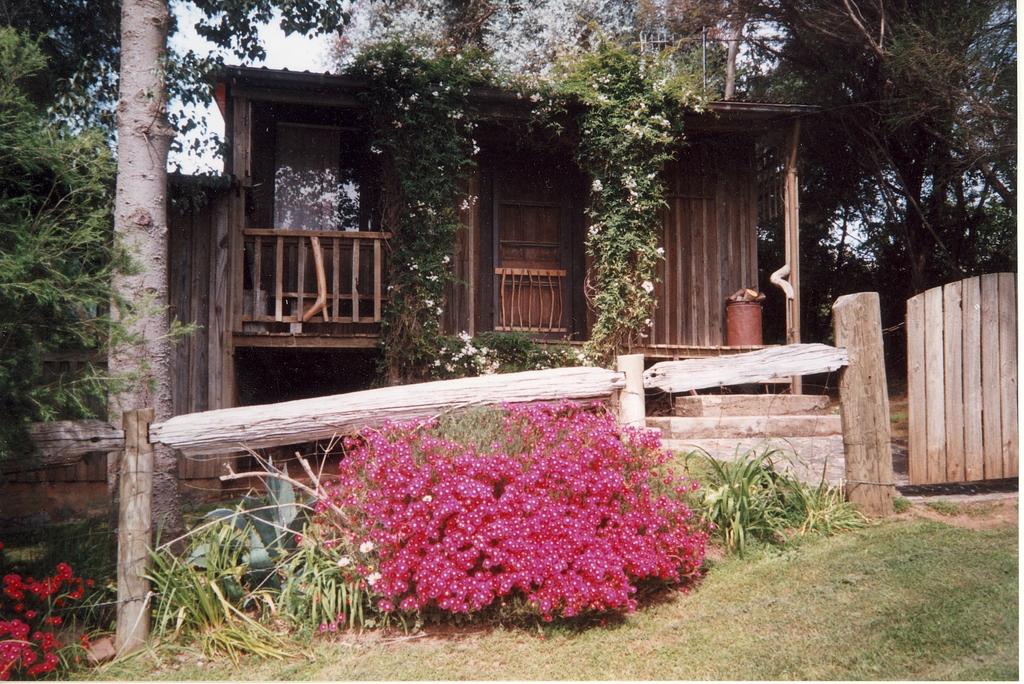 Towong VIC Accommodation Daintree