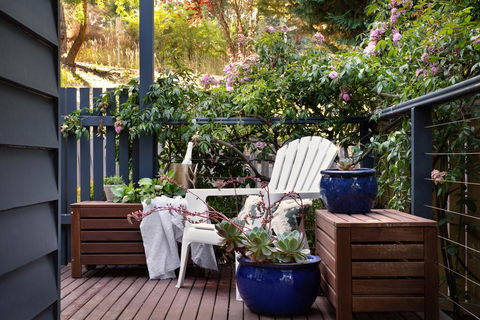 Sorella - Accommodation Daintree 1