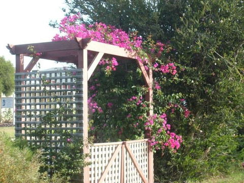 Southern Vales Bed & Breakfast - Accommodation Daintree 3
