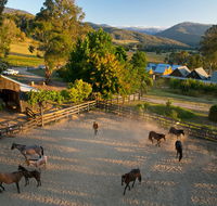 Spring Spur - Accommodation Daintree