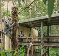 Springwood Meditation Centre - Accommodation Daintree