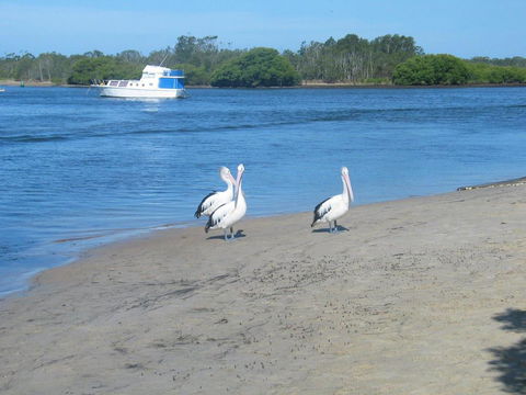 Stunning Holiday Townhouse - Accommodation Daintree 3