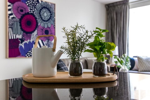 Stunning, Central Huge CBD Pad, Free WiFi, Netflix - Accommodation Daintree 2