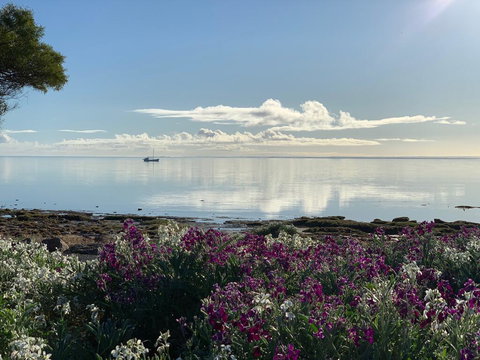 Sunset Cove Beach House - Accommodation Daintree 1