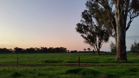 Sunset Villas Cobram - Accommodation Daintree 3